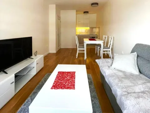 Rent, apartment, 47m², Central Point, Podgorica - image 3