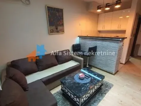 Izdavanje, stan, 40m², Lion, Zvezdara Sve Podlokacije - image 4