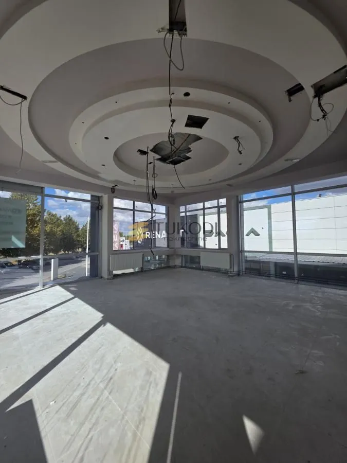 Rent, office space, 4597m², Šangaj, Novi Sad Sve Podlokacije