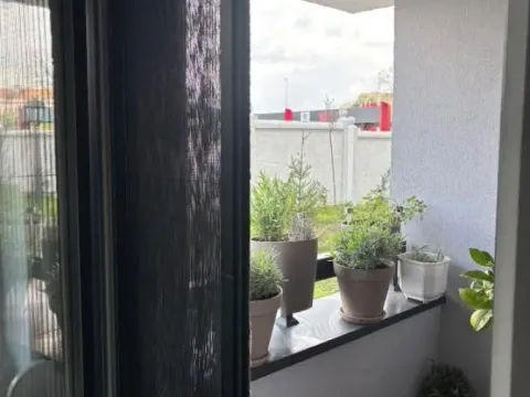 Sale, three bedroom apartment, 95m², Zemun Gornji Grad, Zemun Sve Podlokacije - image 14