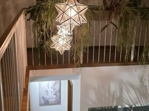 Prodaja, kuća, 337m², Sremska Kamenica, Petrovaradin - image 10