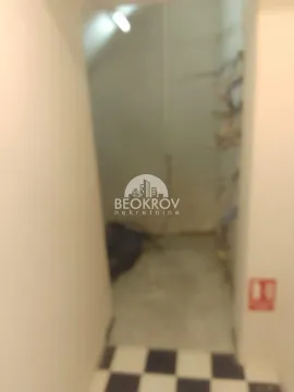 Izdavanje, poslovni prostor, 377m², Lipov Lad, Zvezdara Sve Podlokacije - image 5