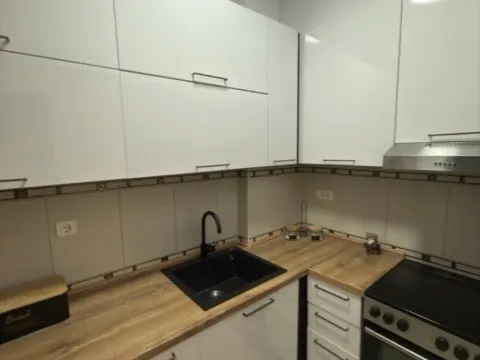 Izdavanje, jednosoban stan, 55m², Centar, Podgorica - image 4