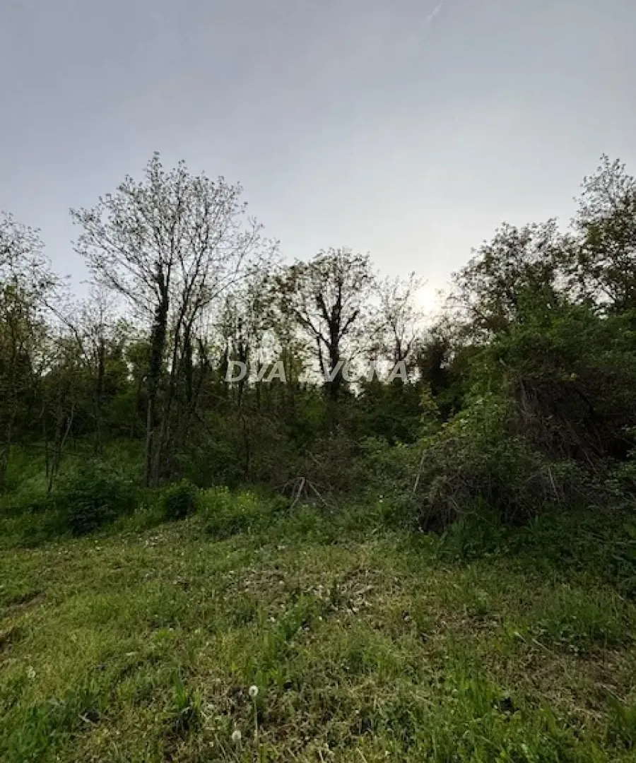 Prodaja, plac, 1900m², Čortanovci, Inđija