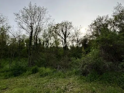 Prodaja, plac, 1900m², Čortanovci, Inđija - image 4