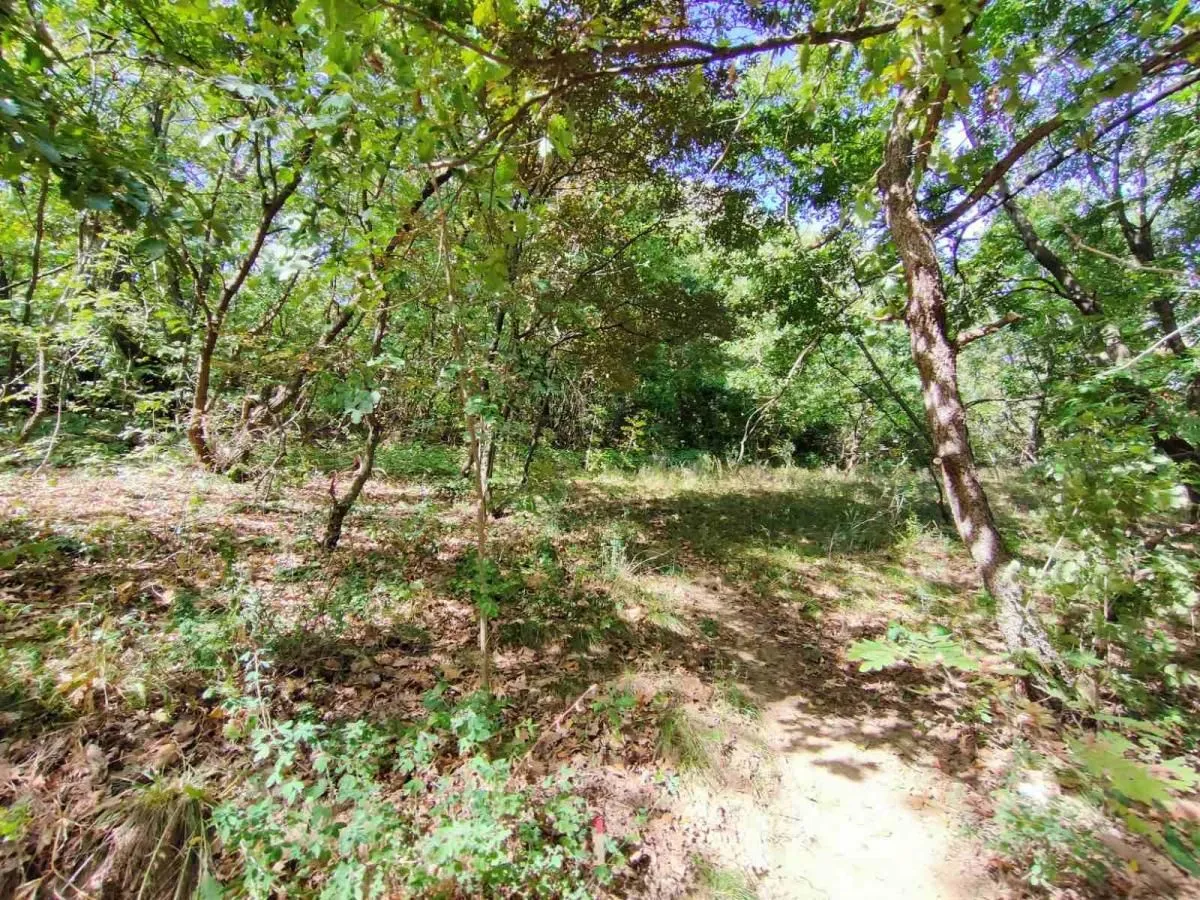 Prodaja, plac, 1100m², Irig, Srbija