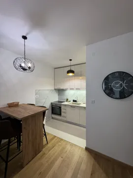 Rent, one bedroom apartment, 45m², City Kvart, Podgorica - image 5