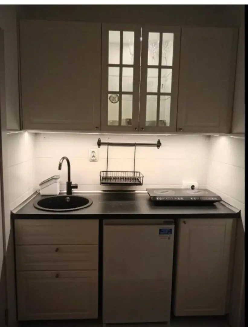 Rent, one bedroom apartment, 15m², Dorćol Sve Podlokacije, Beograd