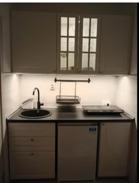 Rent, one bedroom apartment, 15m², Dorćol Sve Podlokacije, Beograd - image 3