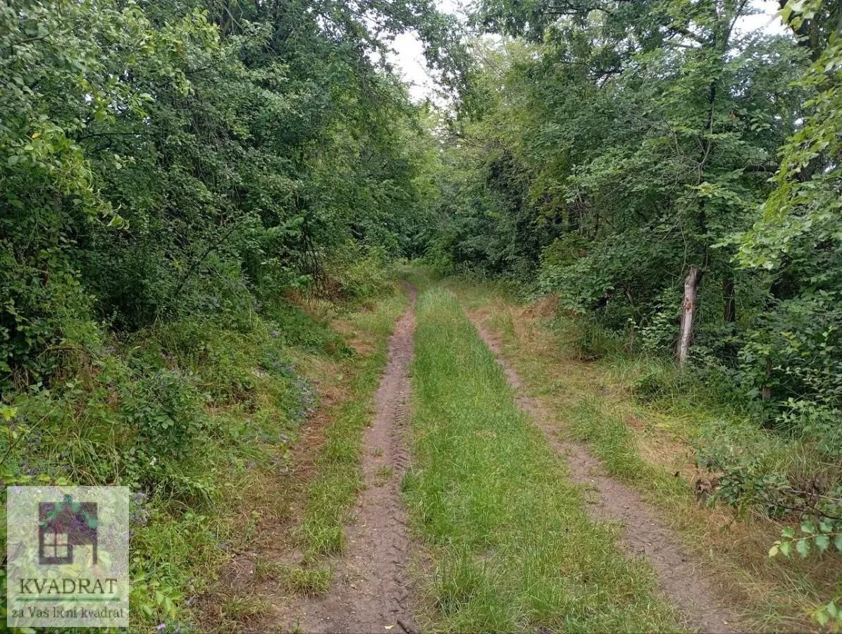 Prodaja, kuća, 63m², Konatice, Obrenovac