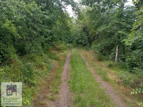 Prodaja, kuća, 63m², Konatice, Obrenovac - image 8