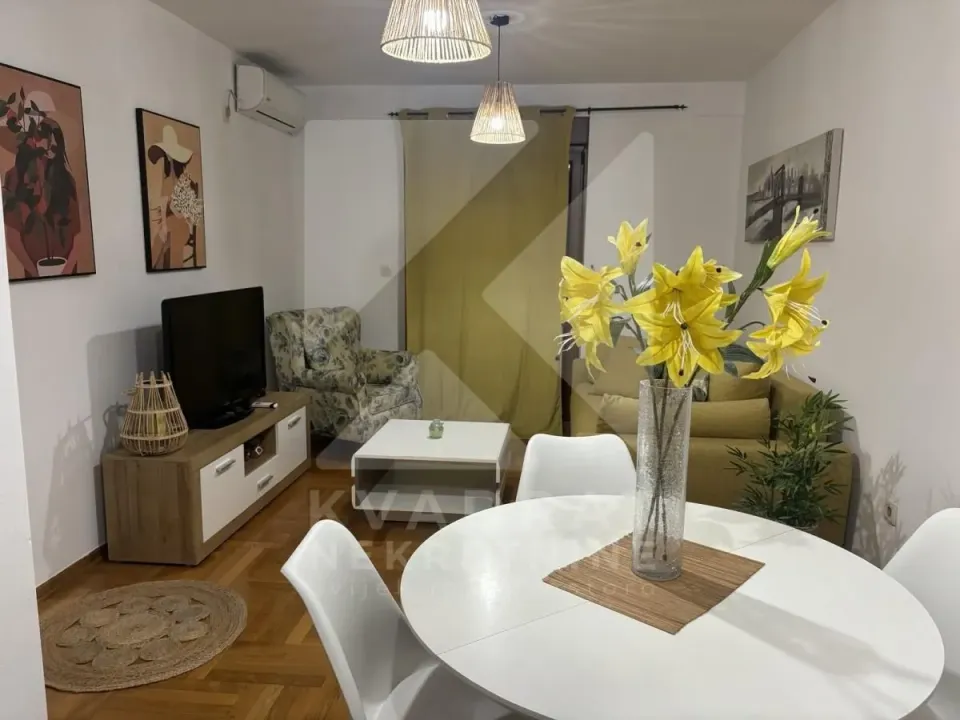 Rent, one bedroom apartment, 45m², Stari Aerodrom, Podgorica