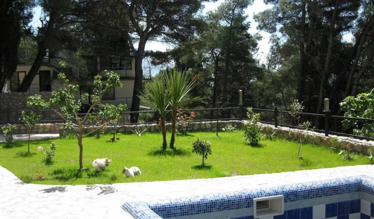 Sale, house, 420m², Zeleni Pojas, Bar