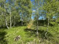 Sale, land lot, 470m², Borje, Žabljak - image 4