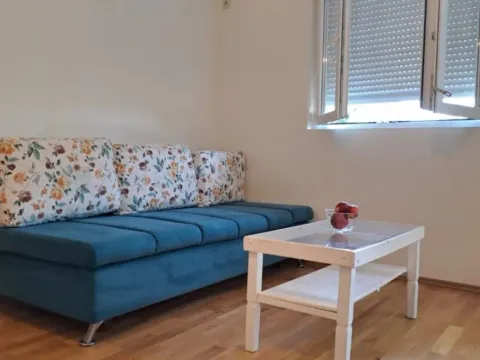 Izdavanje, garsonjera, 25m², Zabjelo, Podgorica - image 12