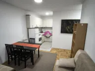 Izdavanje, dvosoban stan, 48m², Krnjaca, Palilula Sve Podlokacije - image 4