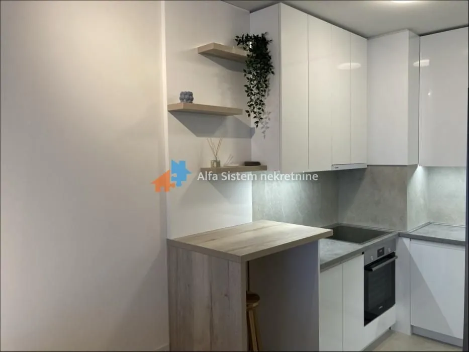 Izdavanje, dvosoban stan, 54m², Novi Beograd Blok 65, Novi Beograd Sve Podlokacije