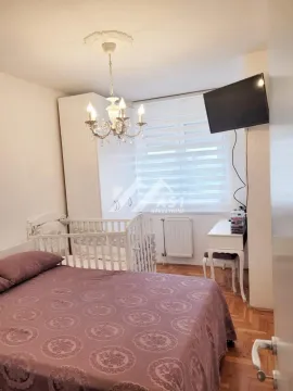 Izdavanje, dvosoban stan, 50m², Nova Detelinara, Novi Sad Sve Podlokacije - image 4