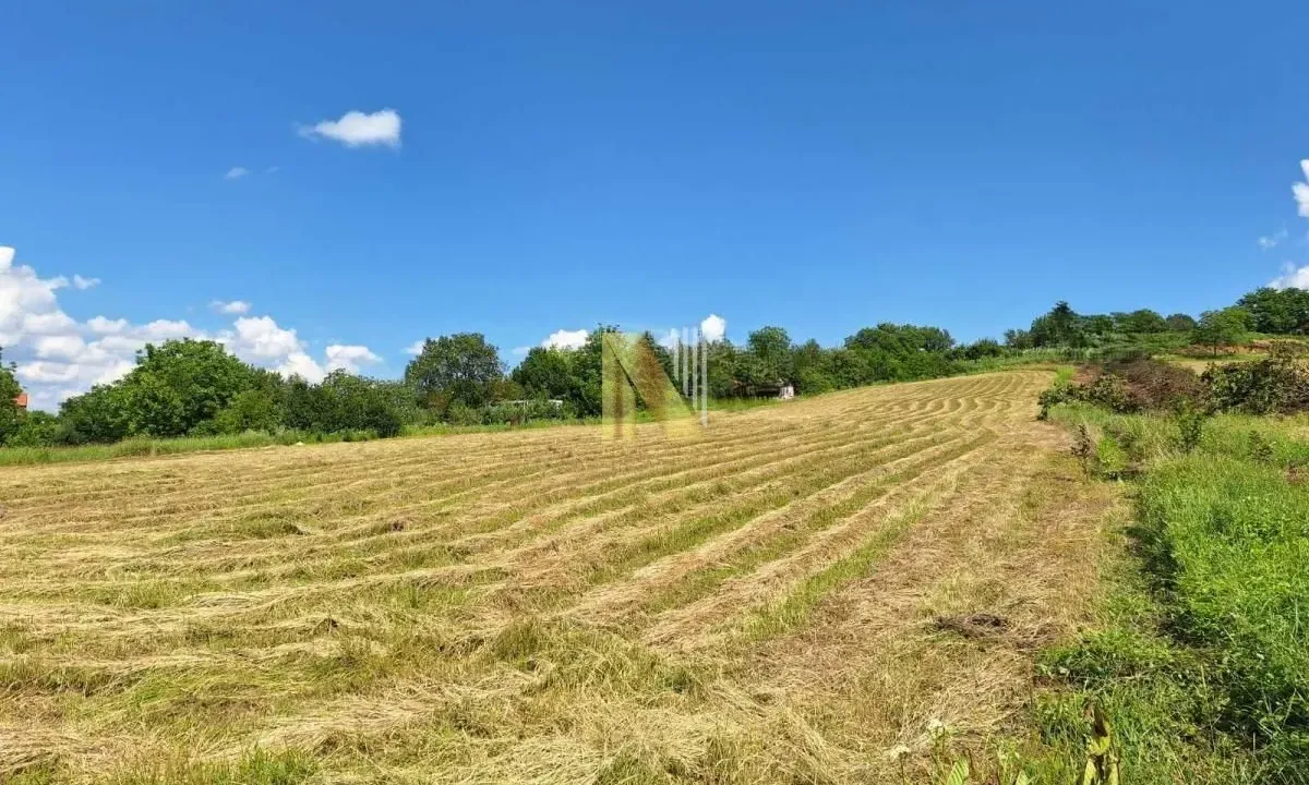 Sale, land lot, 600m², Alibegovac, Petrovaradin