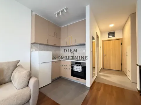 Izdavanje, garsonjera, 28m², Master Kvart, Podgorica - image 4
