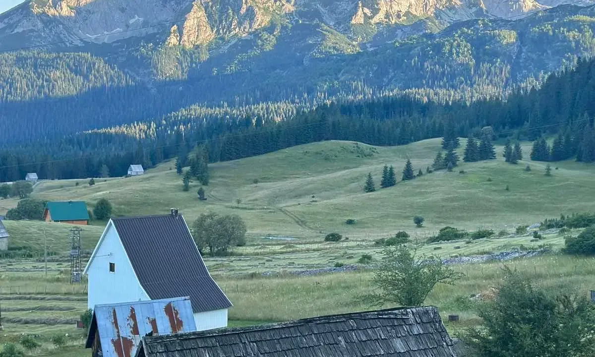 Sale, land lot, 1303m², Žabljak, Crna Gora