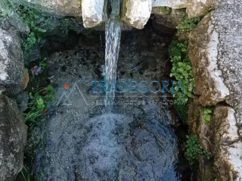 Prodaja, kuća, 210m², Dobra Voda, Bar - image 5