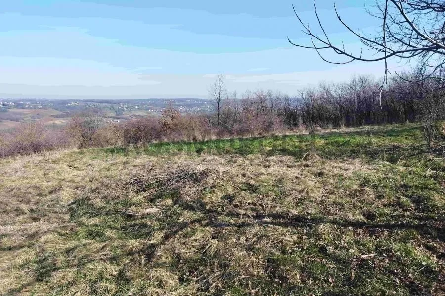 Prodaja, plac, 7700m², Arnajevo, Barajevo