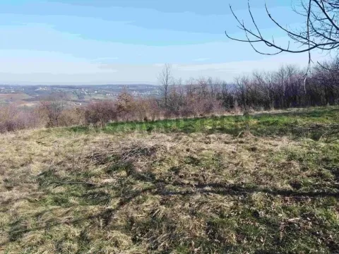 Prodaja, plac, 7700m², Arnajevo, Barajevo - image 2
