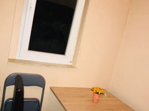 Prodaja, jednosoban stan, 28m², Podbara, Novi Sad Sve Podlokacije - image 3