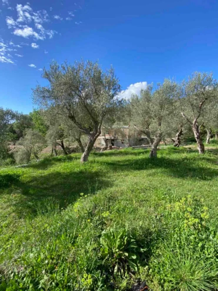 Prodaja, plac, 1000m², Bjeliši, Bar