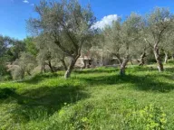 Sale, land lot, 1000m², Bjeliši, Bar - image 7