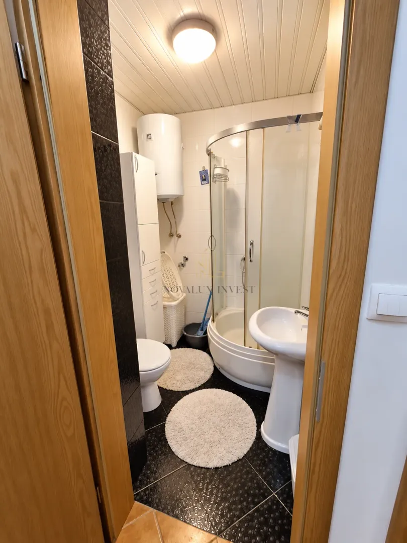 Small bathroom with a shower cabin, washbasin, and toilet.