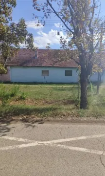 Pogled na prizemnu kuću sa dvorištem i putem u prvom planu. - image 3