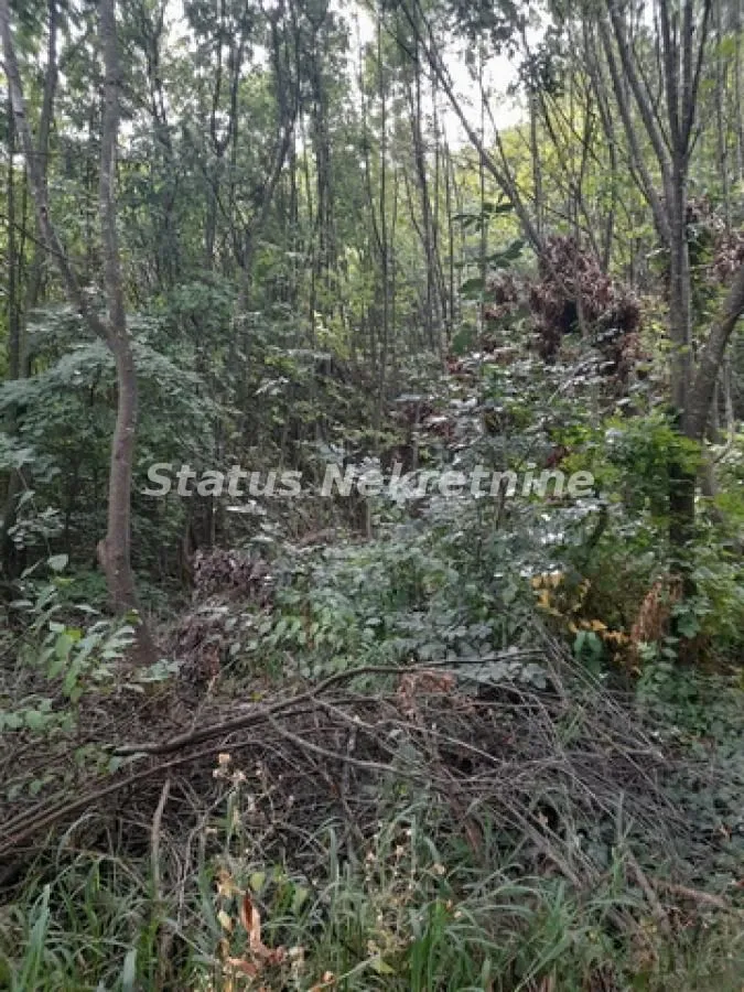 Prodaja, plac, 770m², Sremski Karlovci, Novi Sad