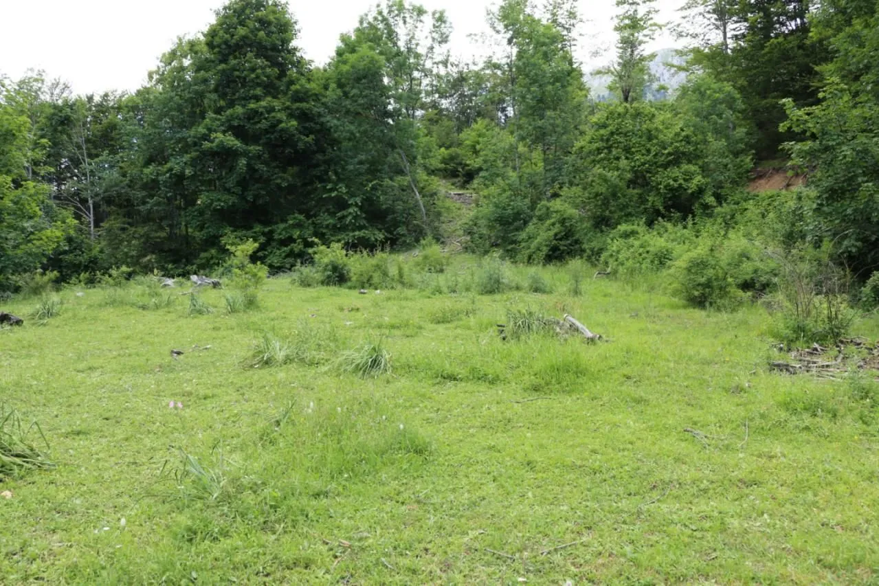 Prodaja, plac, 45000m², Gornje Lipovo, Kolašin