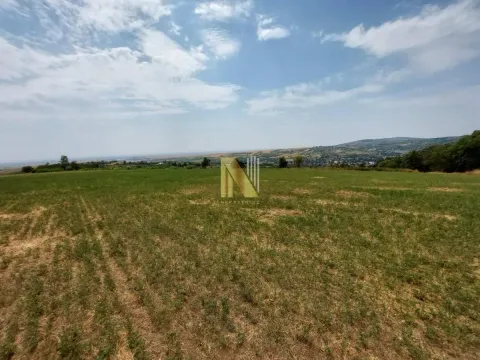 Prodaja, plac, 7500m², Banja Vrdnik, Irig - image 3