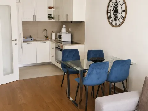 Rent, one bedroom apartment, 48m², Tološka šuma, Podgorica - image 3