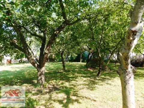 Prodaja, kuća, 220m², Kragujevac, Srbija - image 11