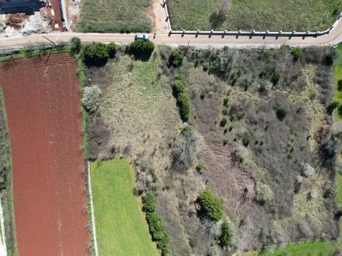 Sale, land lot, 3520m², Krimovica, Kotor - image 3