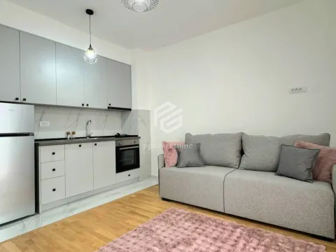 Rent, apartment, 33m², Zabjelo, Podgorica - image 2