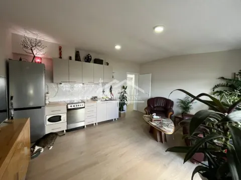 Sale, two bedroom apartment, 37m², Centar, Smederevo - image 4