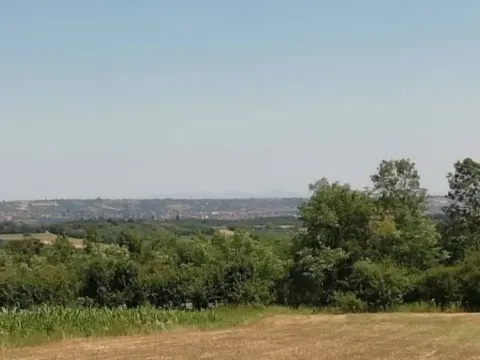 Prodaja, plac, 19500m², Koraćica, Mladenovac - image 2