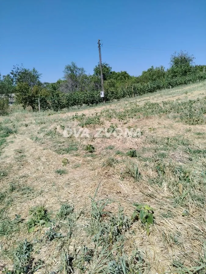 Prodaja, plac, 12300m², Novi Slankamen, Inđija