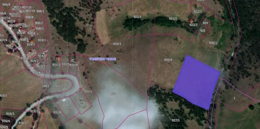 Prodaja, plac, 10000m², Tometino Polje, Požega