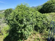 Prodaja, kuća, 92m², Igalo, Herceg Novi - image 5