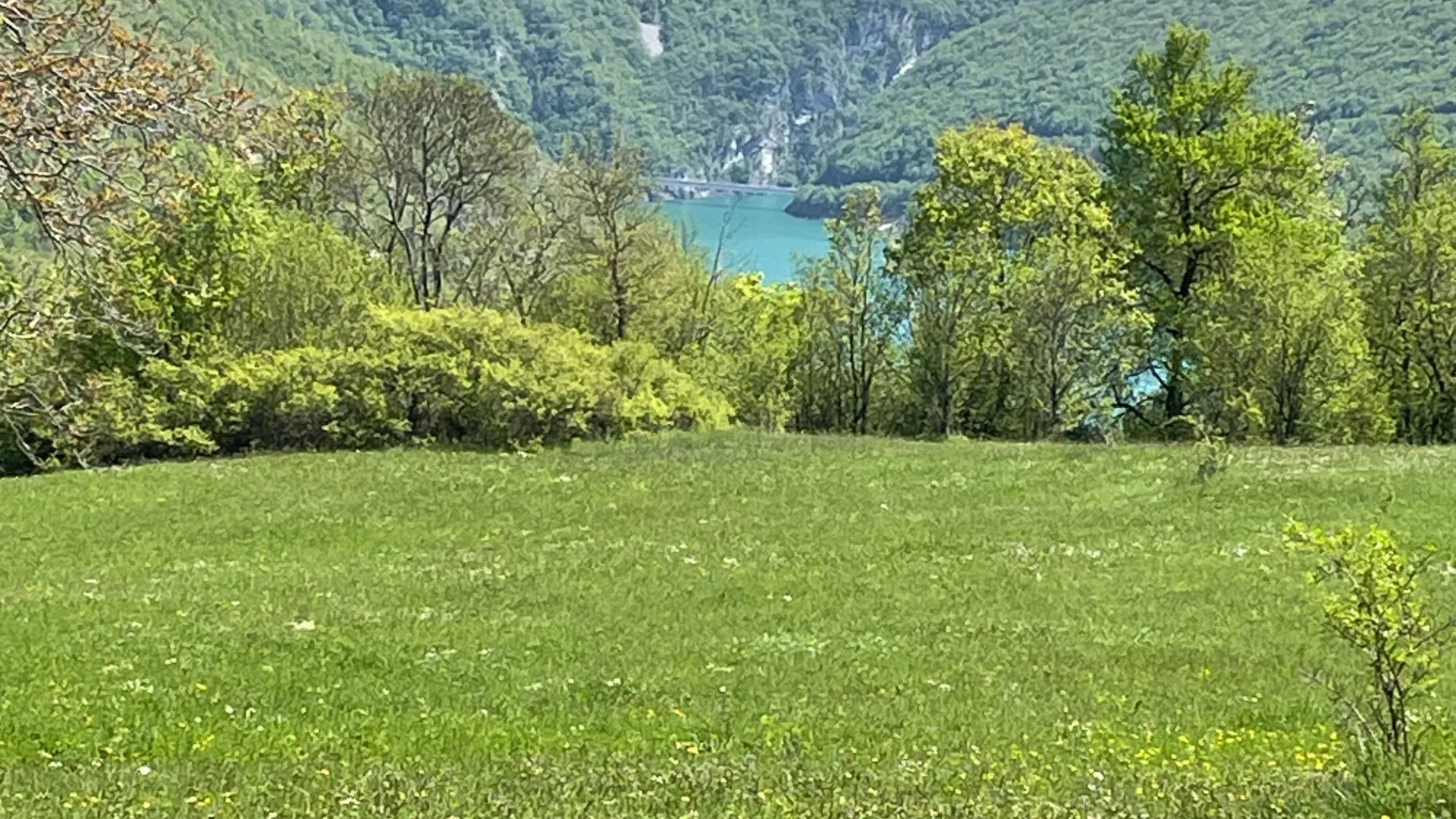 Prodaja, plac, 15000m², Donja Brezna, Plužine
