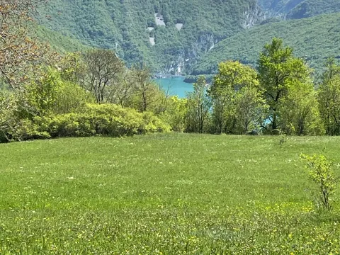 Prodaja, plac, 15000m², Donja Brezna, Plužine - image 4