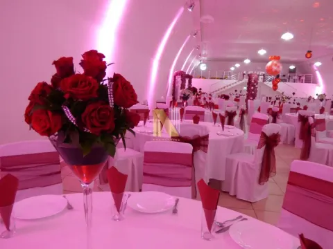 Prodaja, ugostiteljski objekat, 2064m², Centar, Vršac - image 15