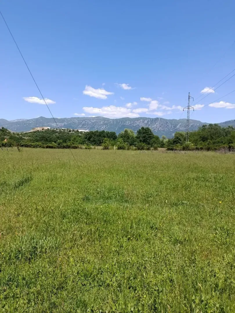 Pogled na zelenu livadu sa planinskim pejzažem u pozadini.