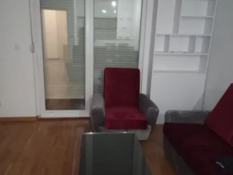 Izdavanje, jednosoban stan, 55m², Ljubović, Podgorica - image 4
